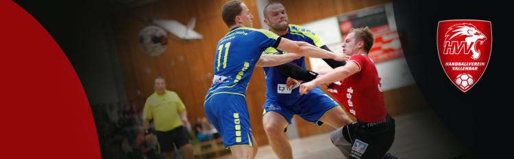 17-1-hvv-webslider-1903x590-2015-bingen