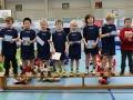Minis_Foto 1