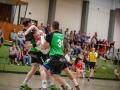 lotto-handball-cup-2017_-26
